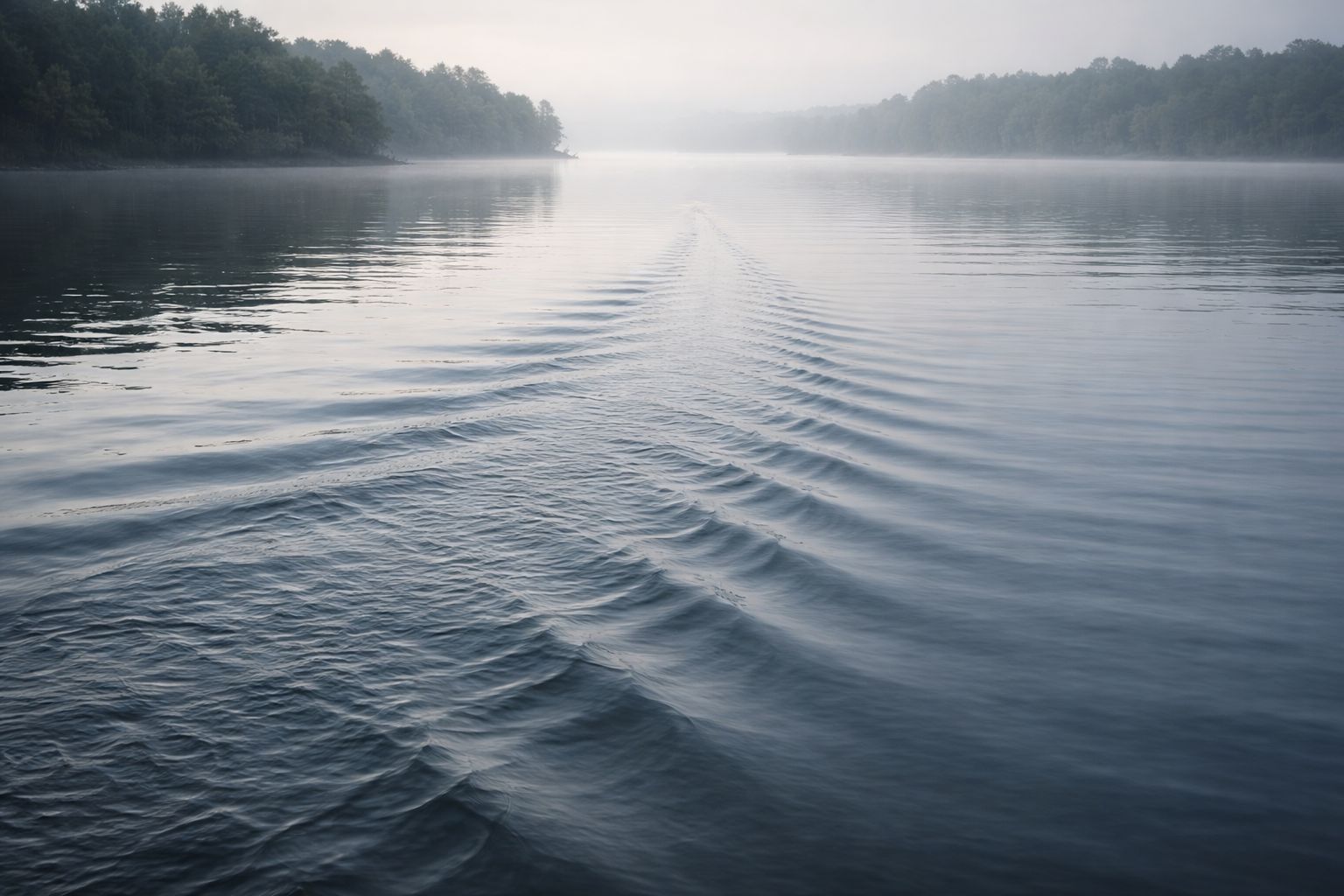Ripples crossing calm water between dark tree-lined shores under a pale sky.